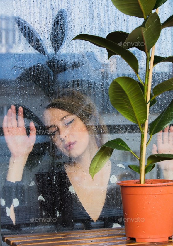 woman near wet window after the rain misses the ficus plant