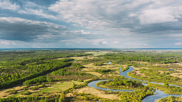 Aerial View Forest Woods And River Marsh In Early Summer Landscape. Top View Of Beautiful European