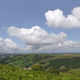 Hills and ferns landscape on a blue sky background - PhotoDune Item for Sale