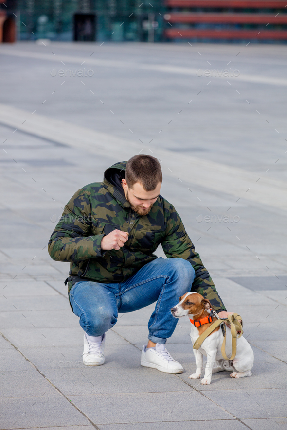man with his dog, Jack Russell Terrier, on the city street - Stock Photo - Images