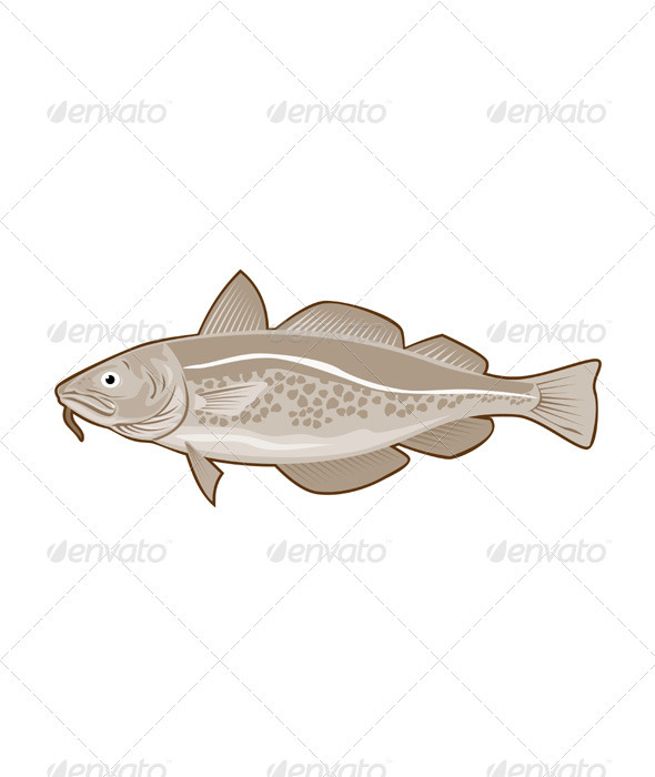 Atlantic Codfish Retro - Animals Characters