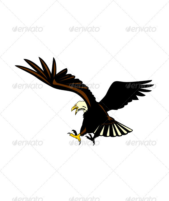 Bald Eagle Flying - Animals Characters