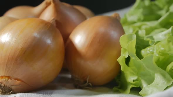Large Many Heads of Golden Onions and Green Juicy Lettuce Leaves Rotate Slowly on a Light Fabric