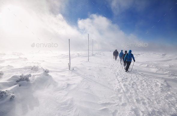 Blizzard walk in mountains. - Stock Photo - Images