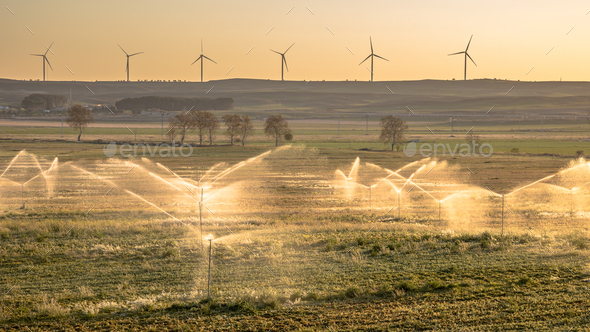 Irrigation sprinklers watering farmland - Stock Photo - Images