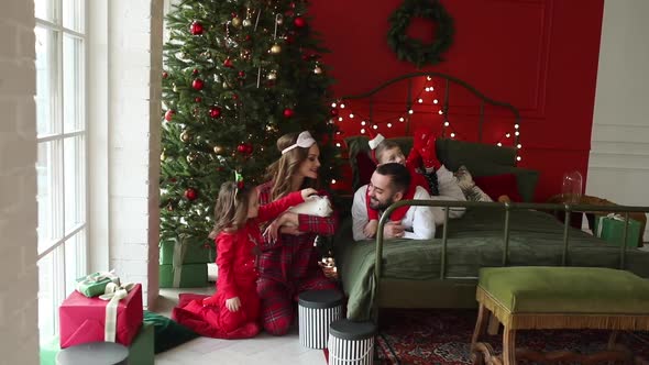 Happy Young Family with Kids Wearing Pyjamas Petting a Pet Rabbit Near Christmas Tree in Cozy