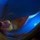 Beautiful woman floating in tank filled with dense salt water used in medical therapy - PhotoDune Item for Sale