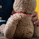 Closeup view of vaccinating teddy bear toy - PhotoDune Item for Sale