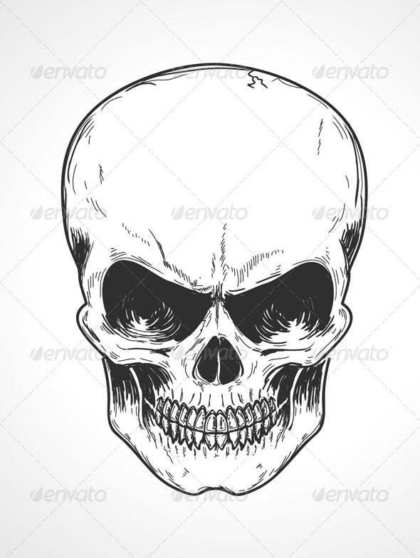 Human Skull - Conceptual Vectors