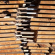 Stacks of cut wood - PhotoDune Item for Sale