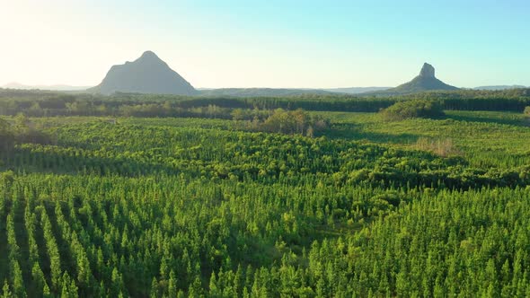 Aerial view of the Glass House Mountains, Sunshine Coast Hinterland. alt
