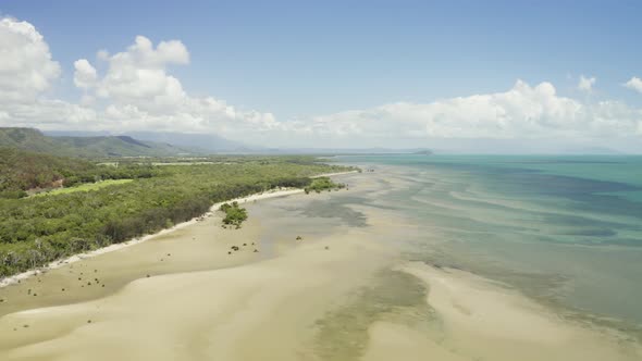 Aerial, Low Tide And Huge Sand Ocean Bed And Mangroves Growing In Queensland Australia