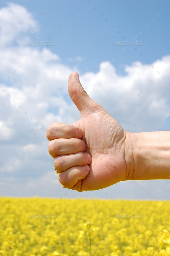 Farmer's hand symbolize this year's harvest Stock Photo by MassonSimon