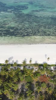 Vertical Video Boats in the Ocean Near the Coast of Zanzibar Tanzania alt