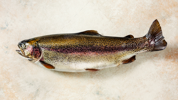 Fresh unpeeled trout - Stock Photo - Images