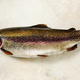 Fresh unpeeled trout - PhotoDune Item for Sale