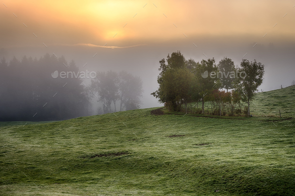 Beautiful autumn sunrise with a lot of mist - Stock Photo - Images