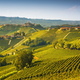 Langhe vineyards landscape and Castiglione Falletto, Piedmont, Italy Europe. - PhotoDune Item for Sale