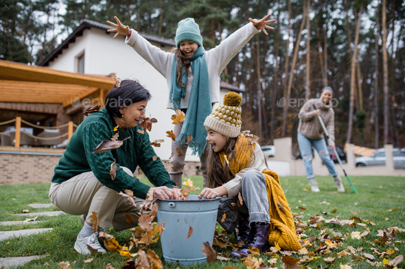 Happy little girls with grandmother picking up leaves and putting them in bucket in garden in autumn - Stock Photo - Images