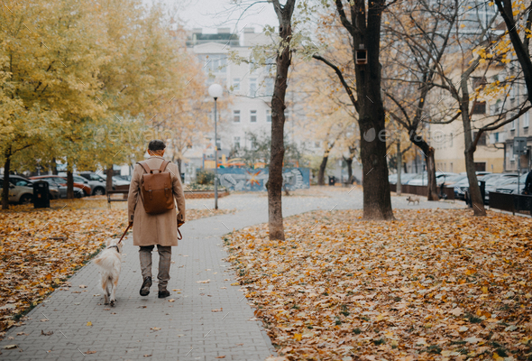 Rear view of senior man walking his dog outdoors in park on autumn day - Stock Photo - Images