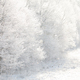Beautiful Snowy White Forest In Winter Frosty Day. Winter Woods - PhotoDune Item for Sale