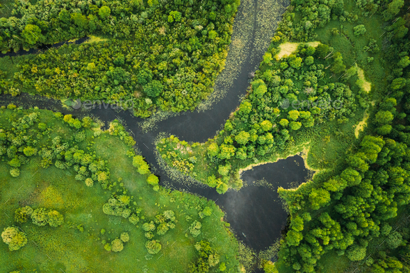Aerial View. Green Forest, Meadow And River Marsh Landscape In Summer. Top View Of European Nature