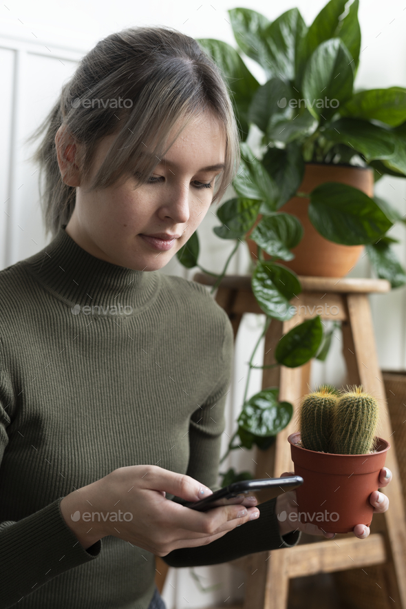 Woman carrying a cactus while checking her phone - Stock Photo - Images
