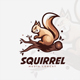 Squirrel Logo Branding Design