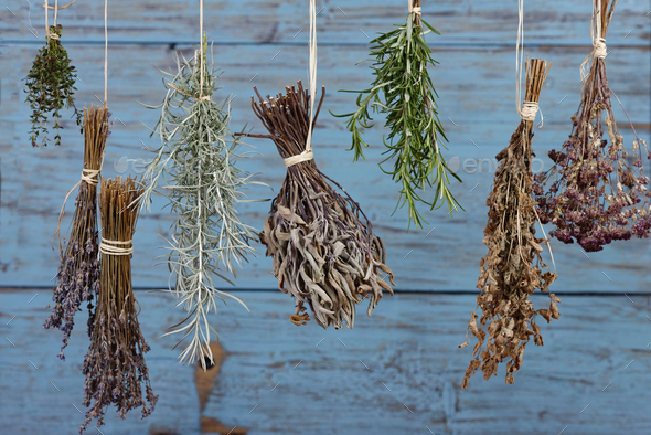 Herbs Hanging Out To Dry Stock Photo By Westend61 PhotoDune   LBF01529 