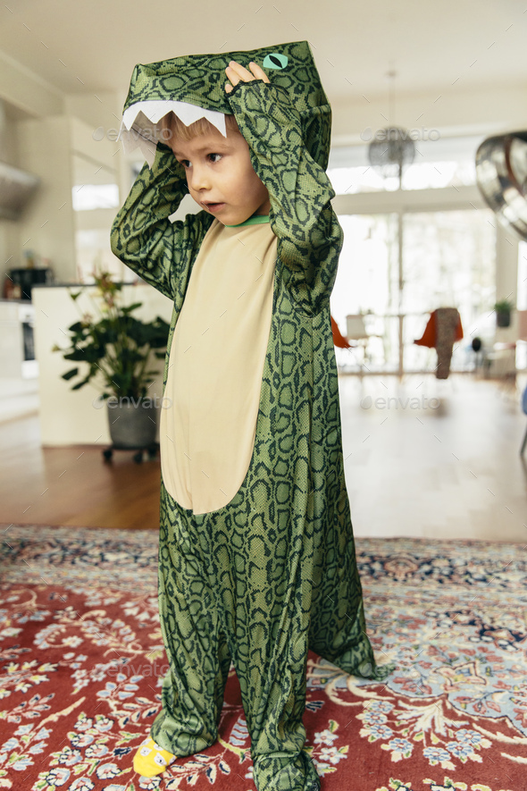 Little boy wearing dinosaur costume at home