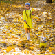 Child plays with Jack Russell Terrier in autumn forest. Autumn walk with a dog, children and pet - PhotoDune Item for Sale