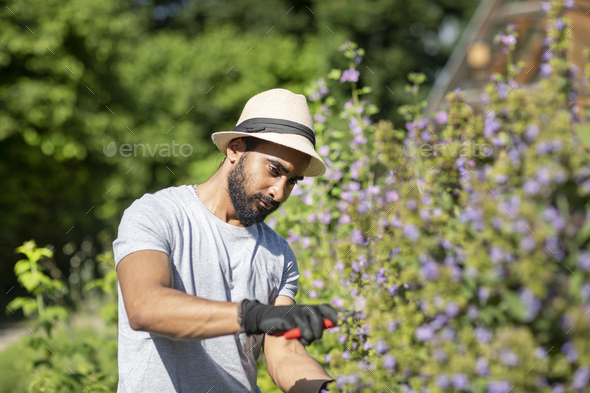 Portrait of bearded young man pruning shrub