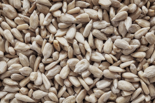 Close up picture of raw sunflower seed kernels, selective focus. - Stock Photo - Images