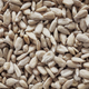 Close up picture of raw sunflower seed kernels, selective focus. - PhotoDune Item for Sale