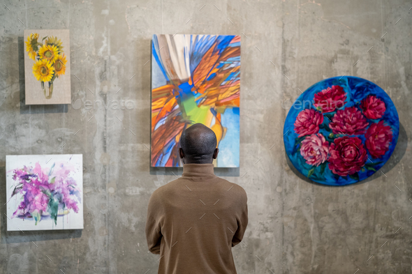 Back view of African male guest of art gallery standing in front of wall with expositions