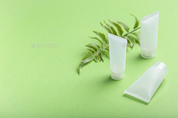 Skincare organic beauty product bottles, plant leaves on green background