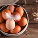 Organic Farm Eggs - PhotoDune Item for Sale