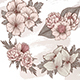Elegant vintage flowers clipart, line art florals png, beige and pink floral clip art, botanical png 