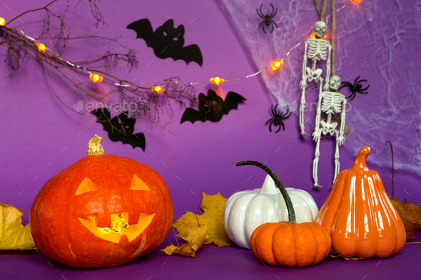 Halloween backgrounds of Jack lantern pumpkin, spider web, skeleton on a rope