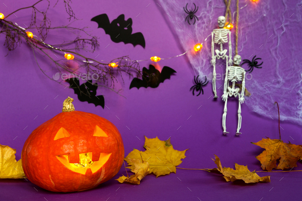 Halloween backgrounds of Jack lantern pumpkin, spider web, skeleton on a rope