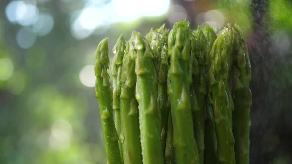 Freshy Asparagus and water spray alt