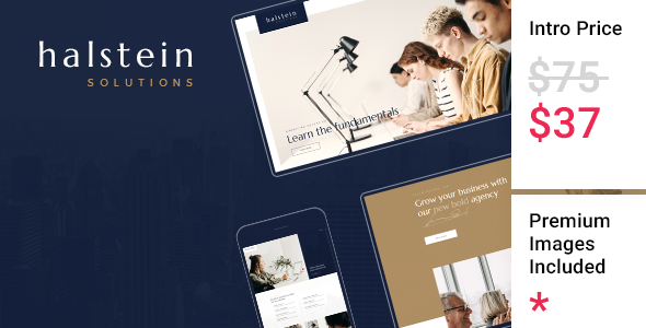 Download Halstein – Business Consulting Free Nulled