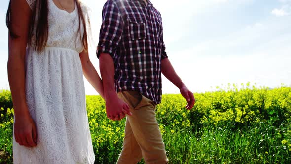 Romantic couple holding hands while walking in field alt