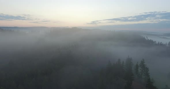 Aerial Over Forest In Fog On Sunrise