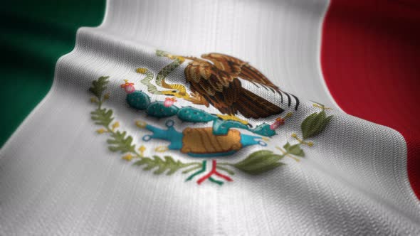 Mexico Flag Seamless Loop alt
