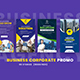 Business Corporate Promo Stories Pack - VideoHive Item for Sale