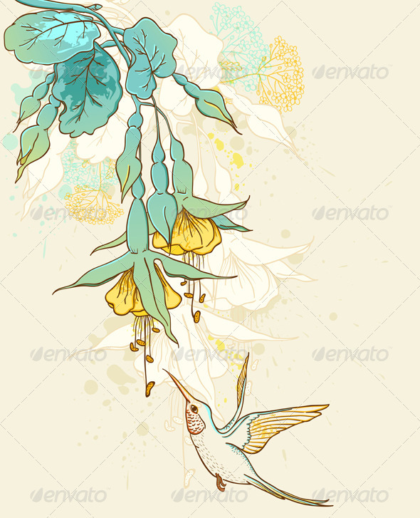 Flowers and Humming-Bird - Flowers & Plants Nature