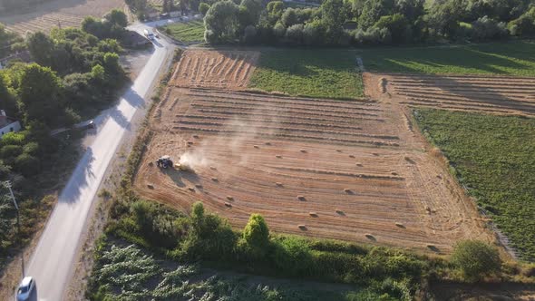 Driving Car Forest alt