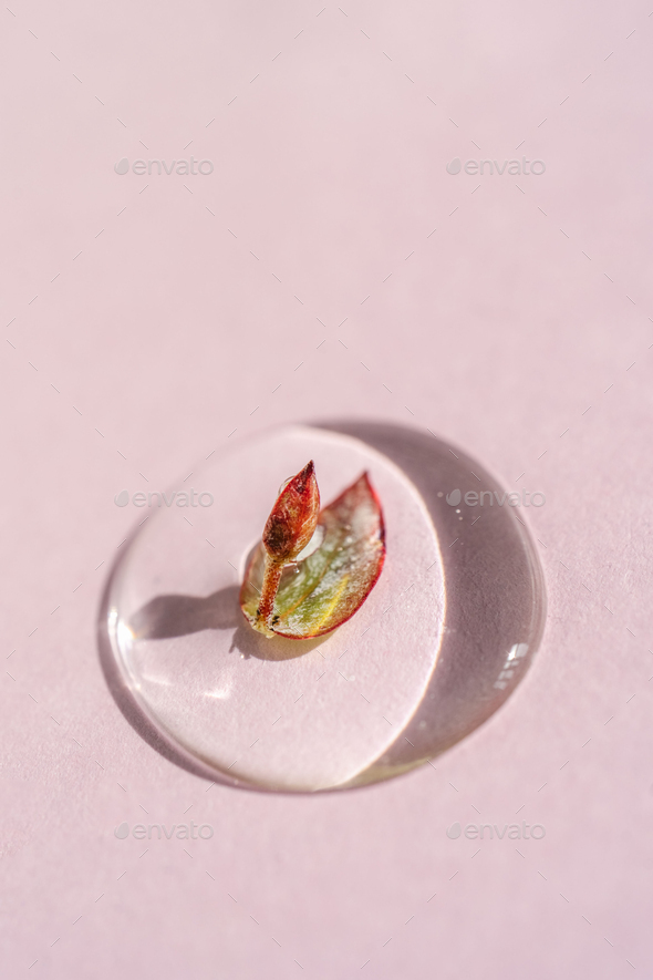 A drop of cosmetic gel with a leaf on a pink background.