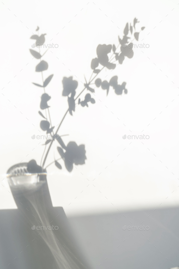 A gray shadow of leaves on a white wall. Space for the text.